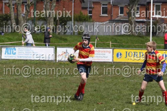 Malone RFC P7 Mini Rugby Action Pitches 1 and 2 early