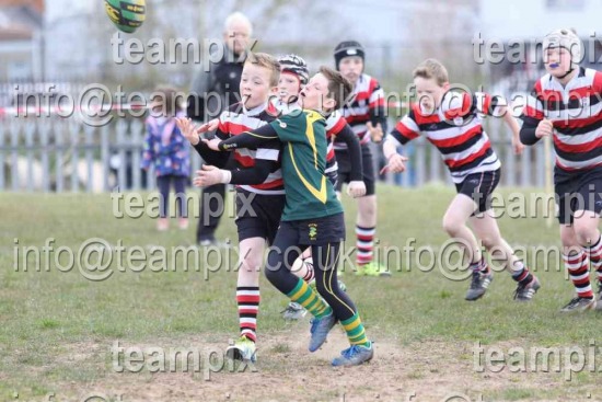 Malone RFC P7 Mini Rugby Action  Extras